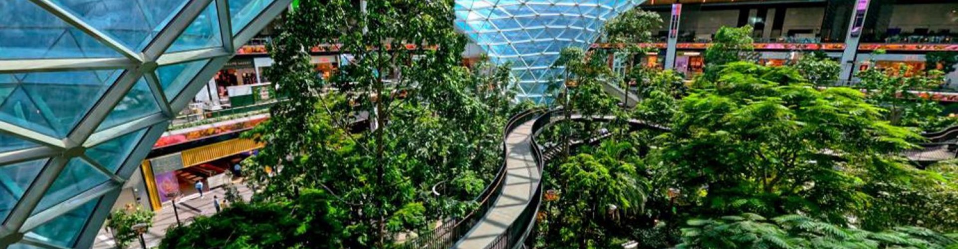 Doha Intl Airport sunset runway view