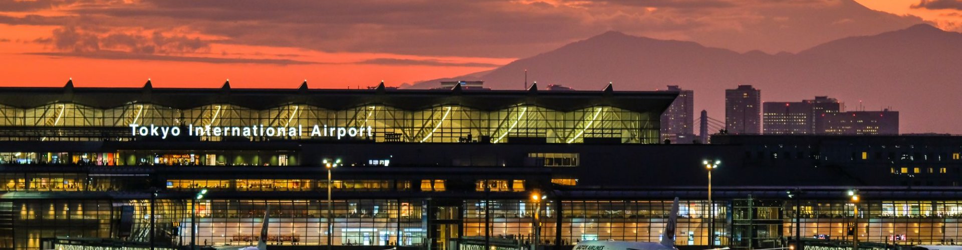 Crowding heatmap and lounge occupancy data at Tokyo Haneda Airport, JP Airport